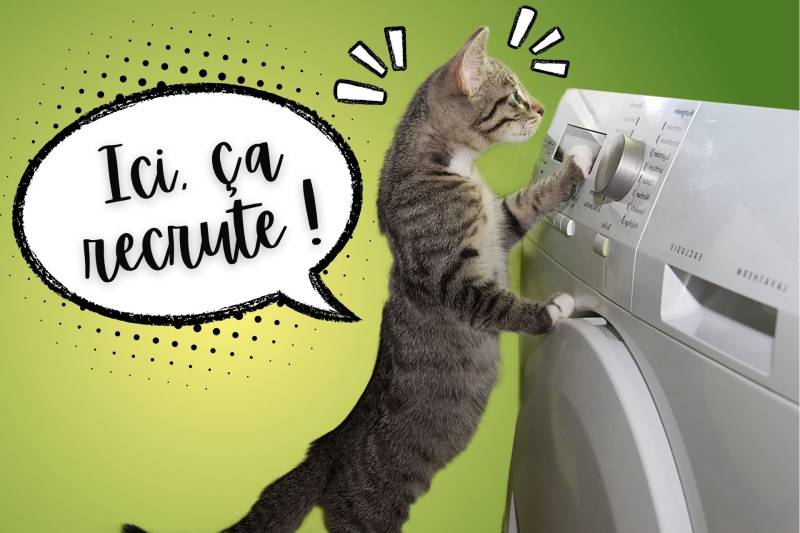 Offre emploi aide menagère recrutement femme de menage le havre